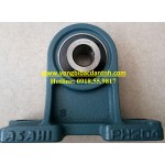 GỐI ĐỠ UCPH217 ASAHI